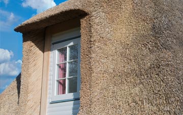 Frenze thatch roof disadvantages